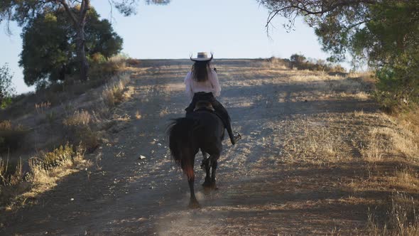 Back View of Graceful Horse Galloping Up the Hill with Female Equestrian on Back alt
