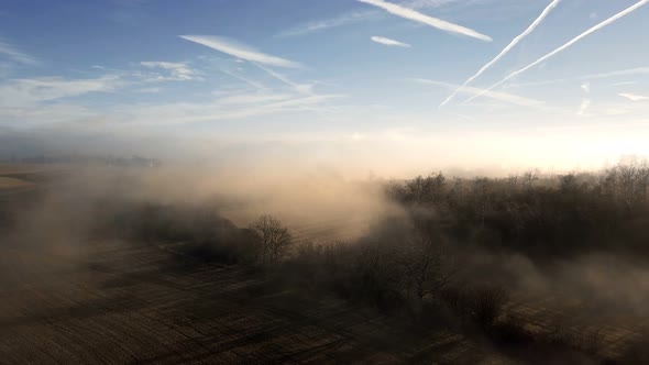 aerial misty morning landscape, Tree in sunbeam mist