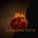 Flaming Rose flower Slow-motion with Alpha - VideoHive Item for Sale