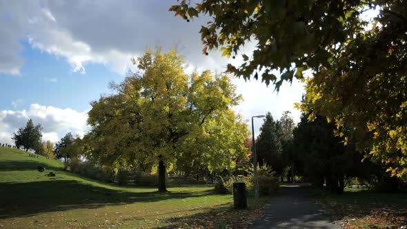 Autumn Wonder Tree 03 alt