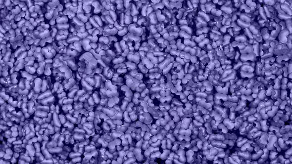 Toned by Violet Mustard Sprouts Micro Greens Moving in Time Lapse as Perfect Organic Food Background alt