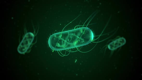 E. Coli Bacteria Floating  alt