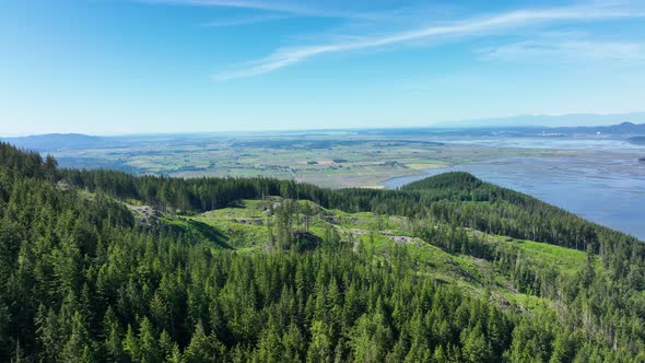 Aerial shot above a mountain with land that's been harvested for lumber. alt