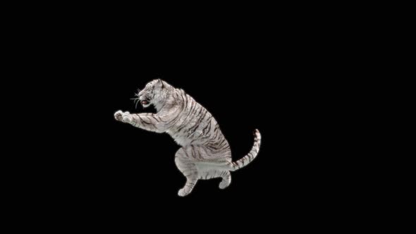 81 White Tiger Standing Magic Attack HD alt