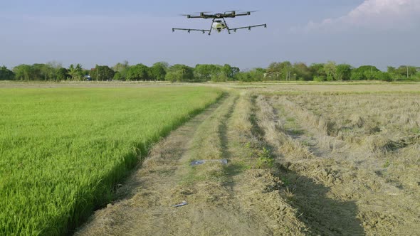 gricultural drones are taking off to spray medicine or fertilizers into the rice fields.