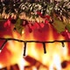 Christmas Lights Decoration in front of Fireplace in Winter Cozy Home - VideoHive Item for Sale