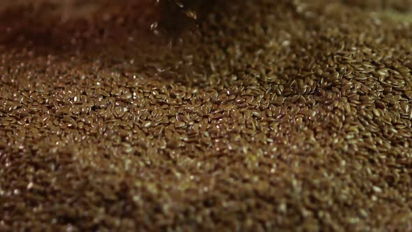 High Quality Flax Seeds Falling in Sack From Farmer's Hands, Agriculture alt