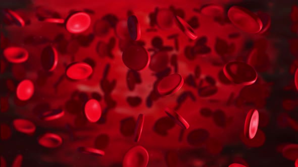Blood under the microscope large blood lymphocytes