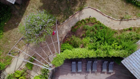 Woman seen from above walking a garden pathway in a French villa with insects flying in view, Aerial alt