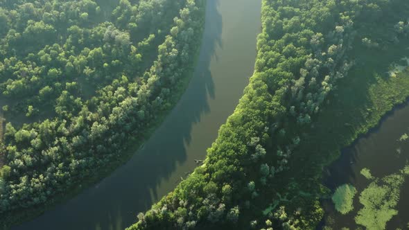 Aerial View of Winding River in Forest alt
