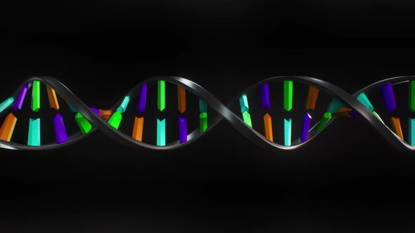 DNA Strand Building, Motion Graphics | VideoHive