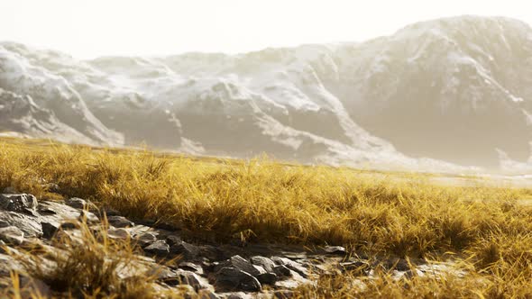 Dry Grass on the Mountain with Fog alt