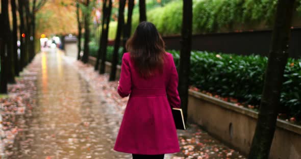 Businesswoman walking on walkway alt