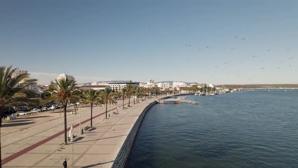 People promenade along Arade River, Portimao, Portugal. Seagulls flying alt