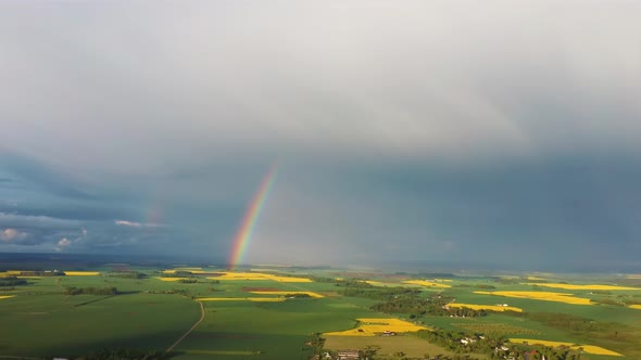 The Rainbow Over Agriculture Landscape Many Fields of Yellow Rapeseed Aerial View 4K alt