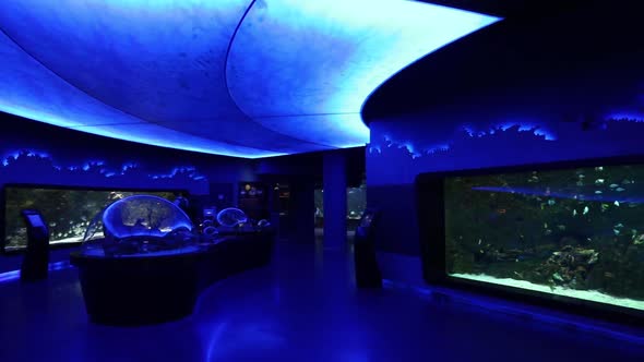 VideoHive Big Aquarium 20402331 VideoHive Big Aquarium 20402331