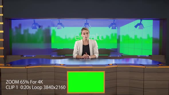 Virtual Studio R901 Pro alt