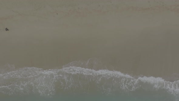 Waves Roll on the Sandy Shore alt