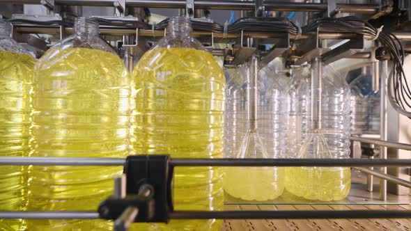Automatic Line for Filling Bottles with Sunflower Oil alt