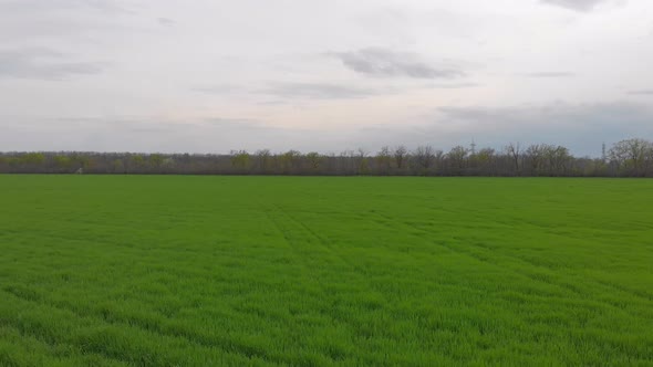 Flying Over Green Field alt