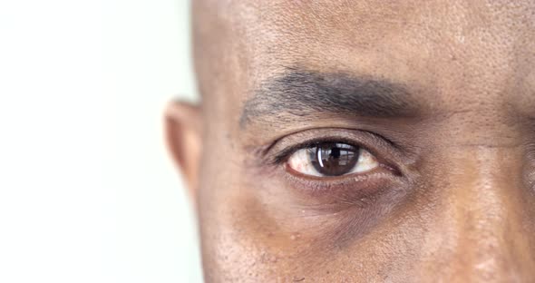 Brown Eye of an Afro-American Man alt