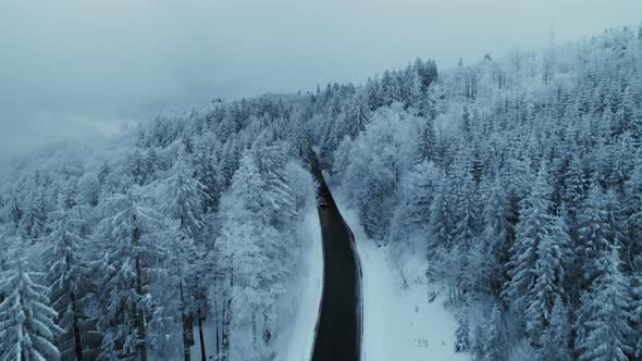 Cinematic Epic Aerial of Snowy Winter Forest Road alt