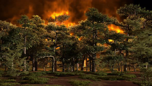 A fire in a pine forest, trees and grass are burning, an ecological disaster.