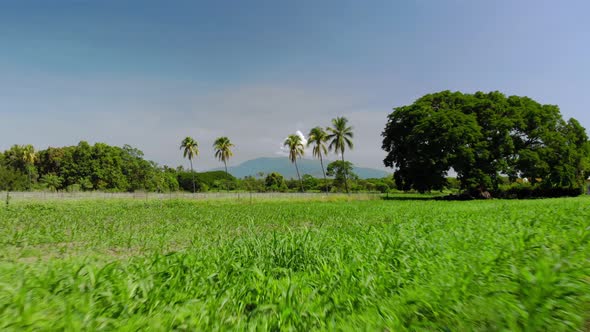 Fast aerial rising shot over a farm near Colima in Mexico at midday. alt