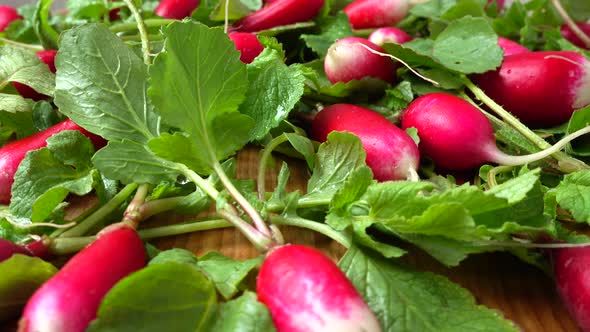 Radish Fruits alt