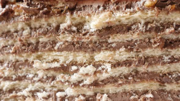 Slow tilt different layers of chocolate cake on the plate 4K 2160p 30fps UltraHD footage - Tilting o alt