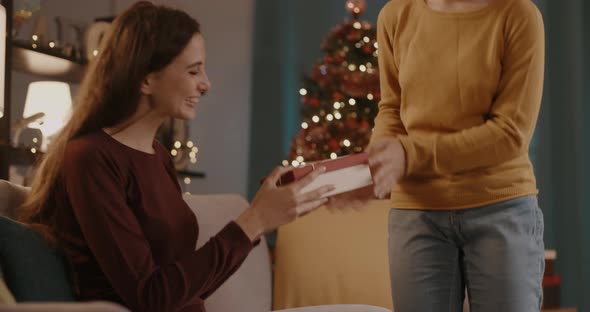 Woman receiving a Christmas gift from her cute younger sister