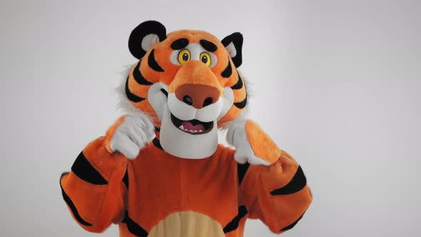 Man in Tiger Costume Dances on a White Winter Background alt