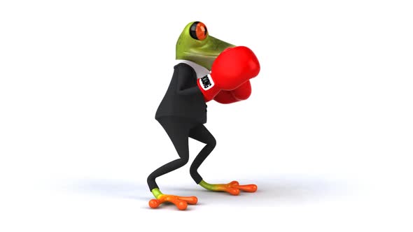 Frog boxing by julost | VideoHive