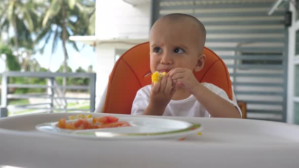 Adorable Baby Boy Eating Solid Foods in a High Chair