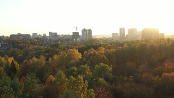 Aerial Shot of a Sunny Country Forest with Colorful Trees and Leaves in Slow Motion. Good Warm alt