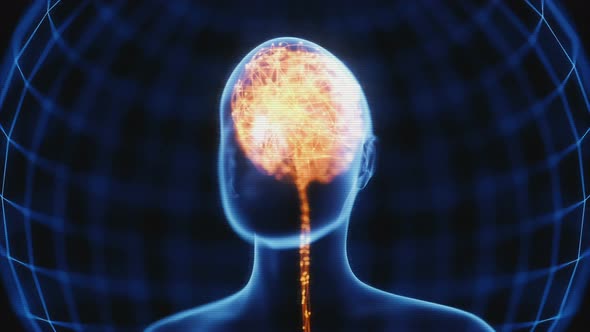 Powerful Mind Brain X-Ray alt