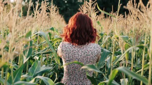 A Young Girl Happily Walking in Slow Motion Through a Corn Field alt