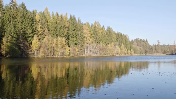 Autumn forest and pond, Czech republic