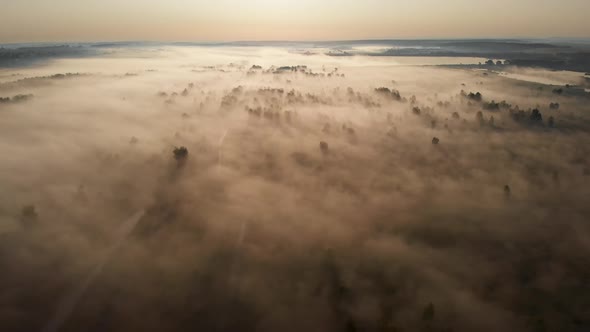 Epic aerial view of sunrise fog covering field with trees