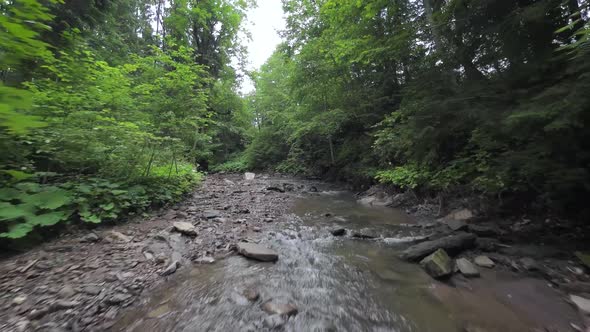 Smooth Rapid Flight Over a Mountain River Close to the Water Among a Dense Forest alt