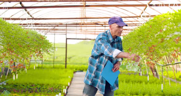 Agriculture Confident Male Gardener Examining Potted Flower Plant alt