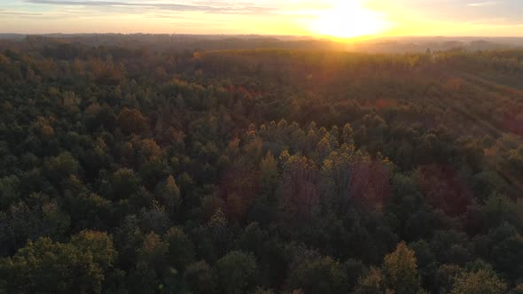 AERIAL: Flying up and tilting down from the horizon over a forest while the sun is setting on a beau alt