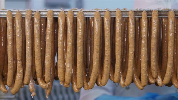Fresh Sausages Are Placed On Racks In A Meat Processing Factory alt