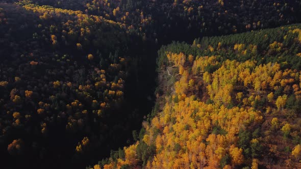 Aerial view of the Shiryaevsky ravine in the Samarskaya Luka national park.