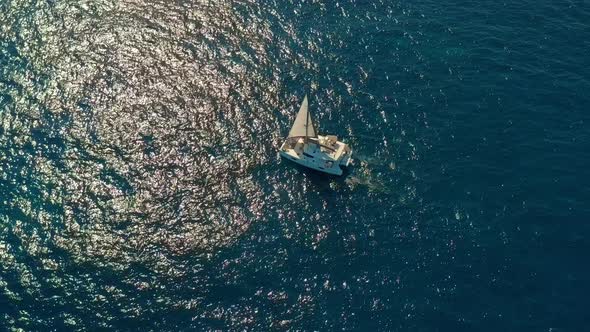 Catamaran Sailing on the Sea. Aerial Shoot of the Catamaran Sailing in the Wind. alt