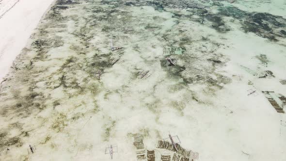 Shore of Zanzibar Island Tanzania at Low Tide Slow Motion alt