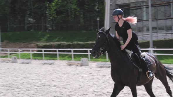 A Female Rider Rides a Bay Horse Performing Tasks at Competitions