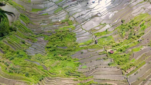 Famous Batad Banaue Rice Terraces In Cordillera Of Ifugao In Philippines