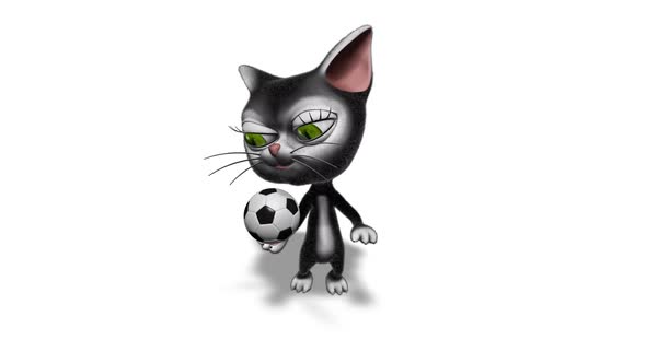 3d Kitty Cat Show Football Looped On White By Cinemultic Videohive