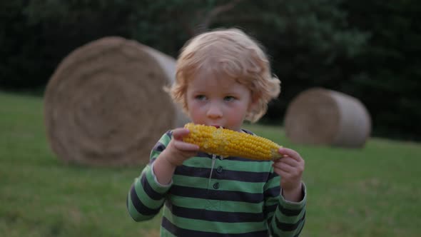 Young Blonde Child with Curly Hair Eating Corn on the Cob